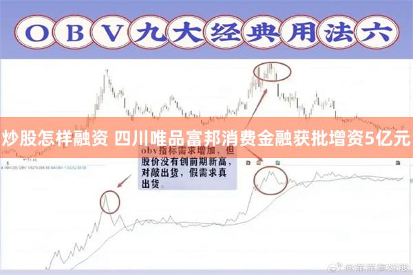 炒股怎样融资 四川唯品富邦消费金融获批增资5亿元