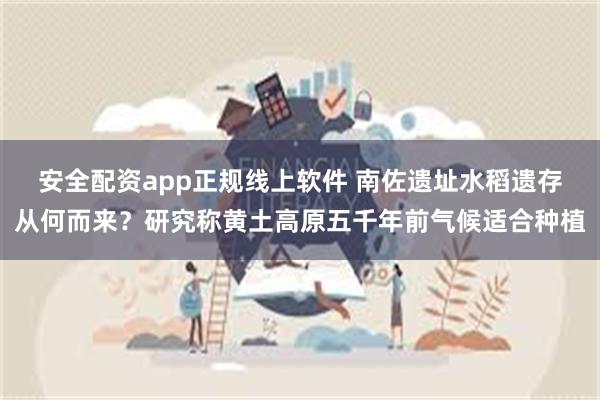 安全配资app正规线上软件 南佐遗址水稻遗存从何而来？研究称黄土高原五千年前气候适合种植